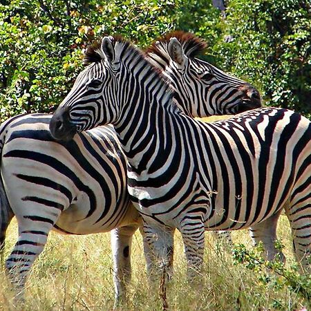 Kwalape Safari Lodge Kasane Buitenkant foto